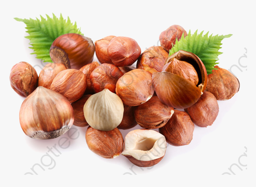 Transparent Nuts Png - Chestnut 