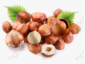 Transparent Nuts Png - Chestnut Png