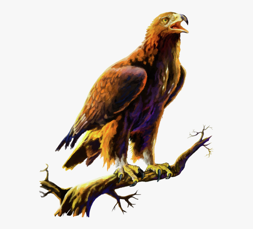 Canvas Paintings Of Golden Eagle