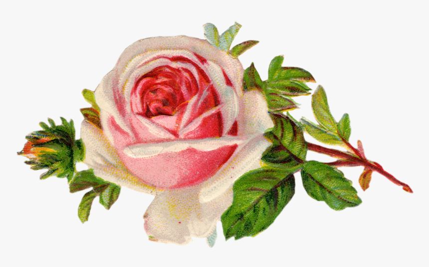 Happy Friday Everyone - Free Victorian Flower Clipart