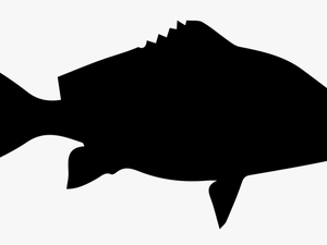 Fish Shape Of Red Snapper - Red Snapper Fish Silhouette