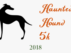 Transparent Greyhound Running Clipart - Dog