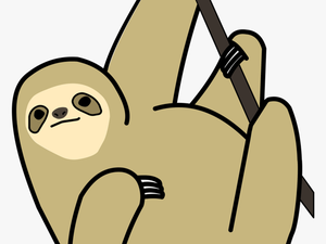 Baby Sloth Png - Clipart Sloth Transparent Background
