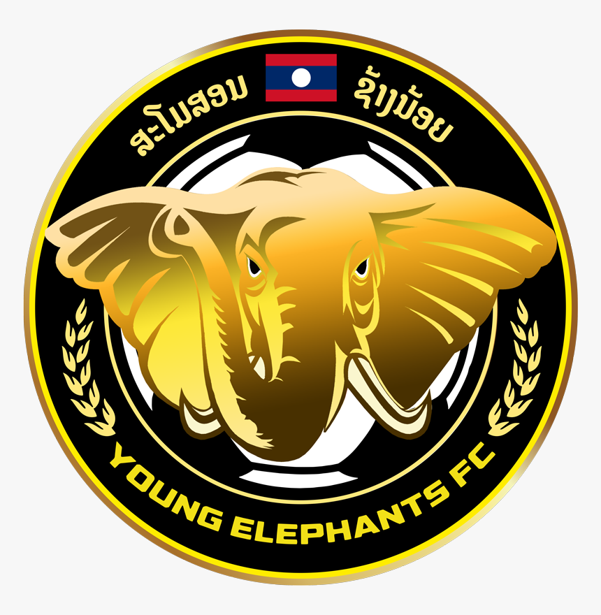 Ai New Logo Yefc Finall - Young 