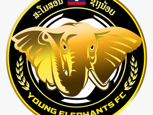 Ai New Logo Yefc Finall - Young Elephant Football Team