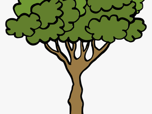 Cartoon Tree 3 - Tree Cartoon Png Transparent