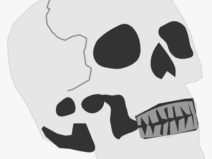 Simplified Skull Clip Arts - Cartoon Skull Png Public Domain
