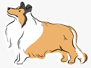 Pug French Bulldog Rough Collie Yorkshire Terrier Dog - Dog