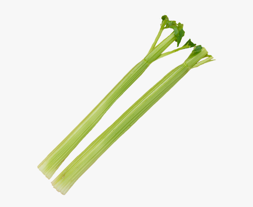 Celery Stick Png - Transparent B