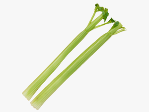 Celery Stick Png - Transparent Background Celery Png