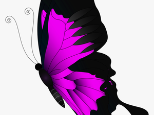 Pink Flying Butterfly Png - Red Butterfly Png Transparent