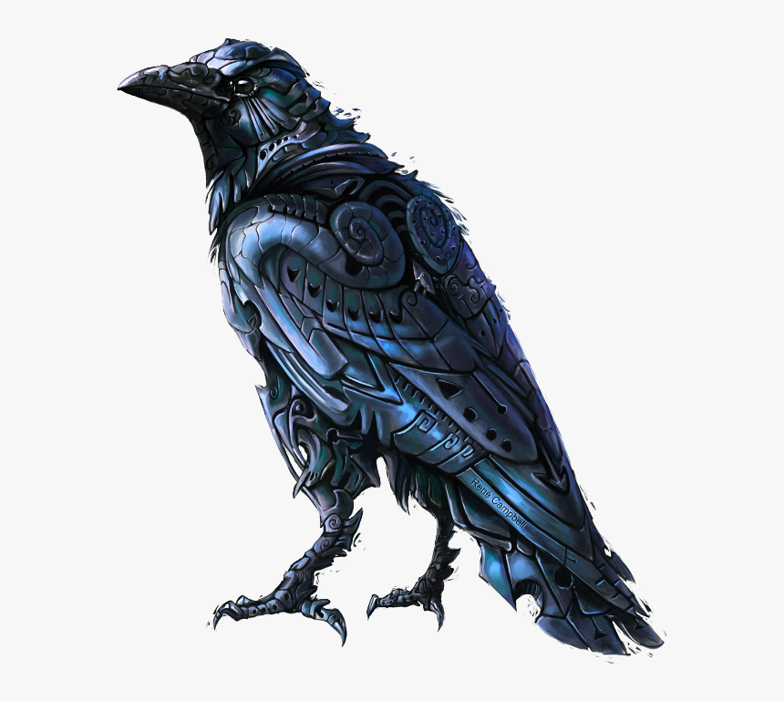 #mq #black #crow #bird #birds - 