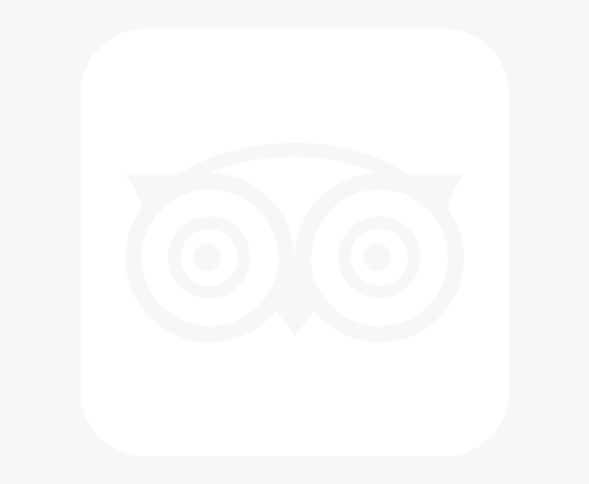 Tripadvisor - Owl Logos With Nam
