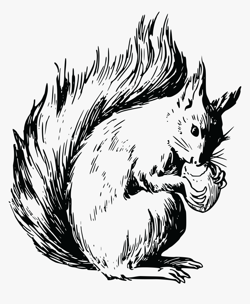 Red Squirrel Coloring Page