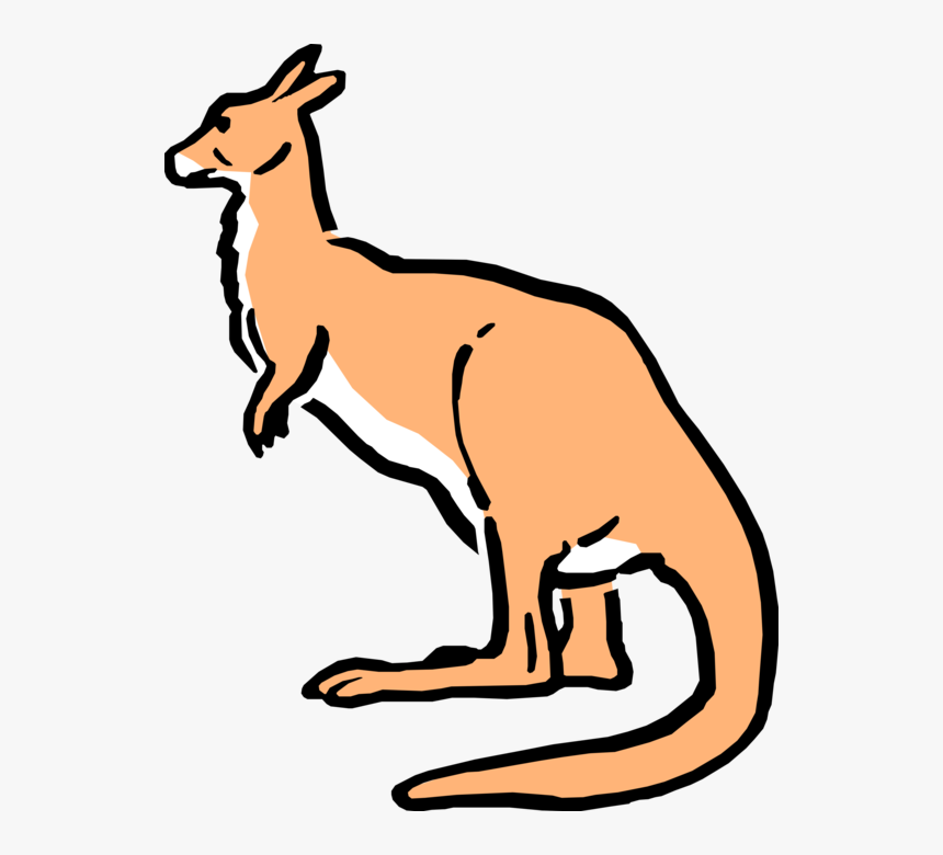 Vector Illustration Of Cartoon Australian Marsupial - Cartoon Australian Kangaroo