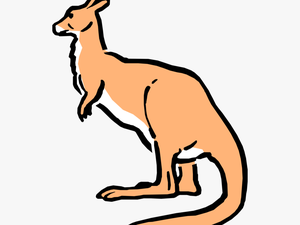 Vector Illustration Of Cartoon Australian Marsupial - Cartoon Australian Kangaroo