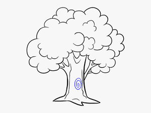 How To Draw Cartoon Tree - Cartoon Tree Easy Drawing