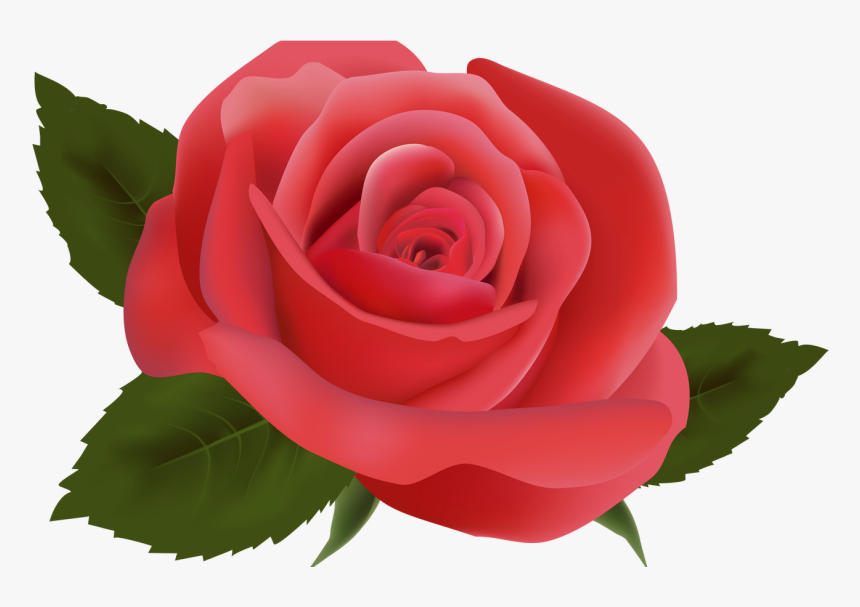 Red Rose Png Image Clipart Deseo