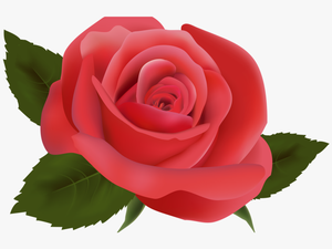 Red Rose Png Image Clipart Deseos De Migdalia Pinterest - Transparent Background Rose Png