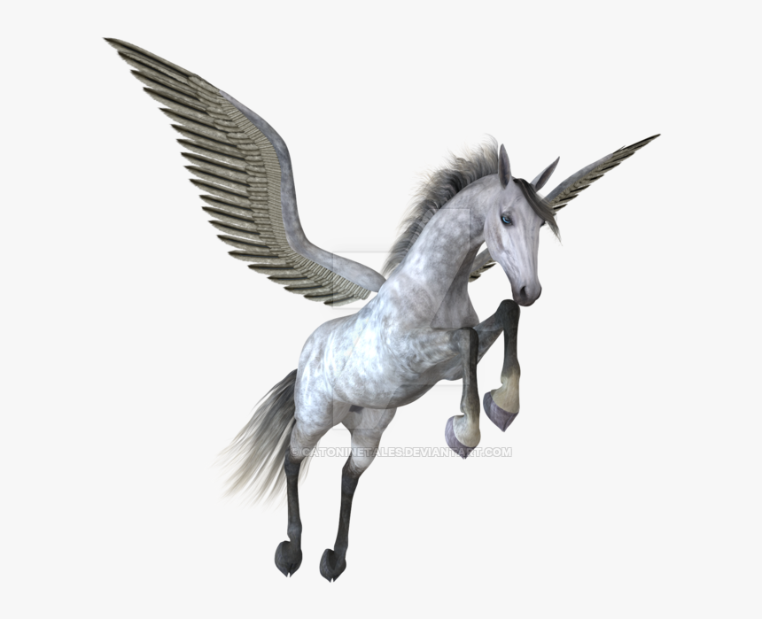 Pegasus Png Image - Pegasus Png