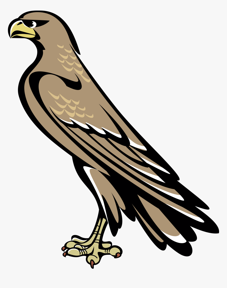 Falcon - Falcon Symbol Coat Of A