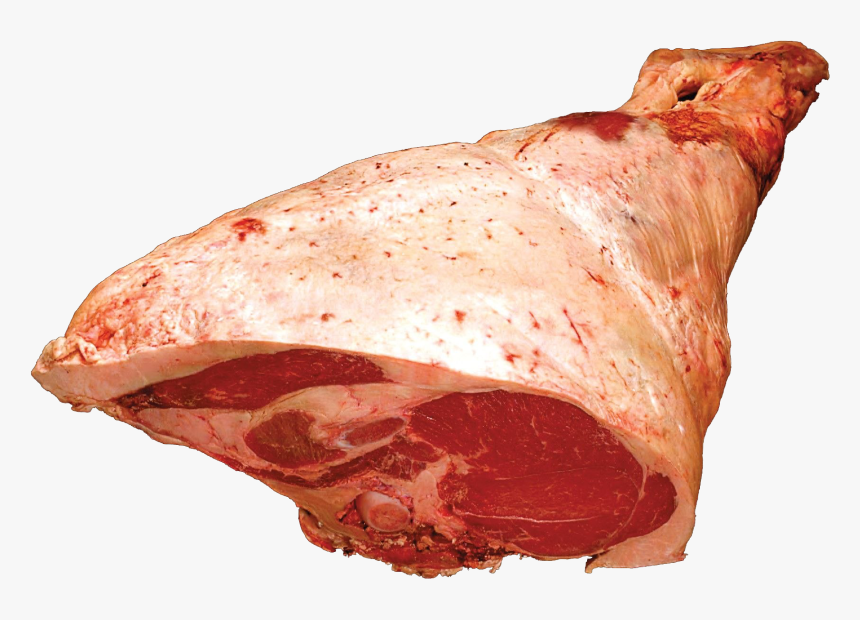 Beef - Beef Round Primal Cut