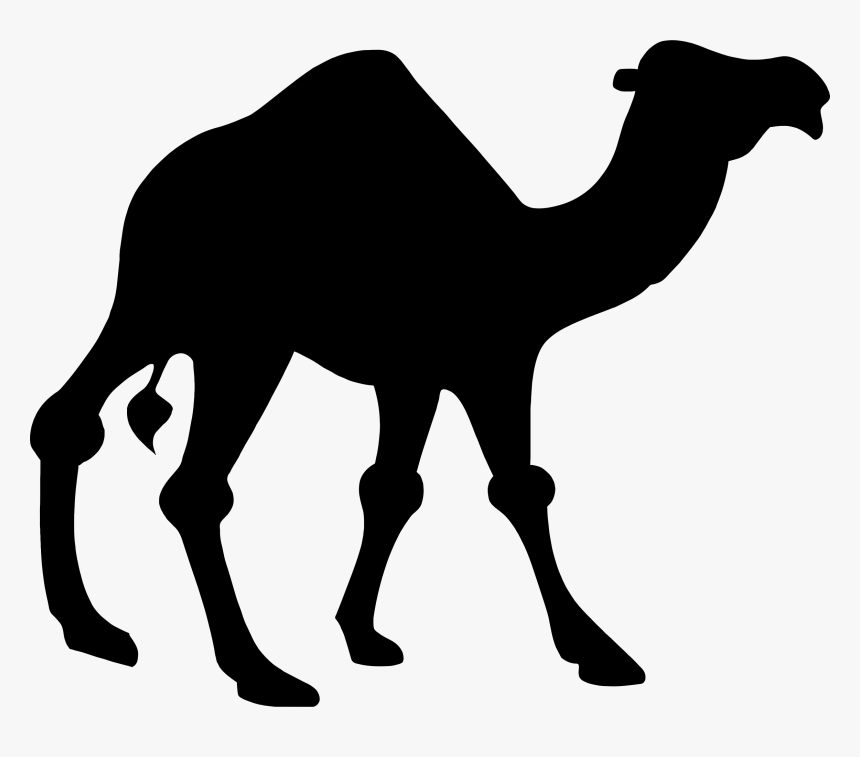 Silhouette Big Image Png - Clipart Camel