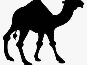 Silhouette Big Image Png - Clipart Camel