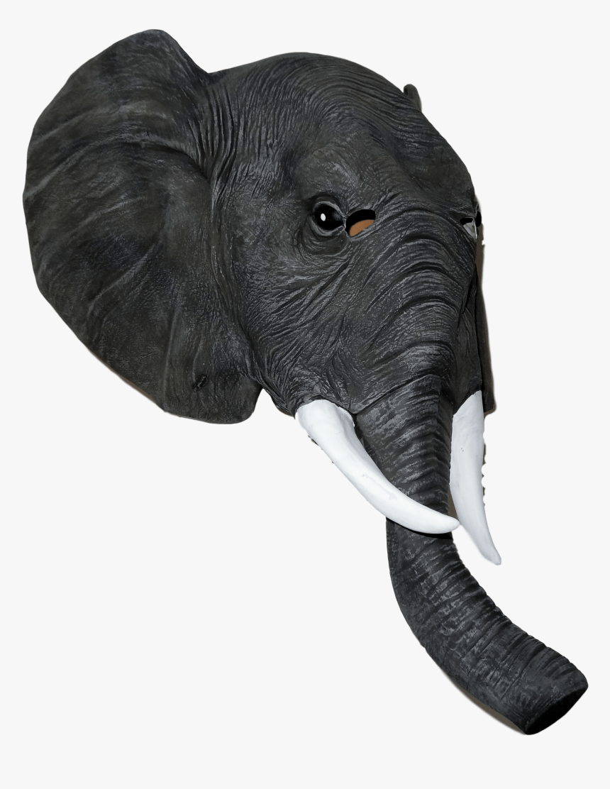 Transparent Robin Mask Png - Elephant Mask Png