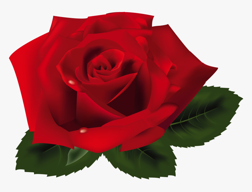 Red Rose Png Clipart - Rosa Png