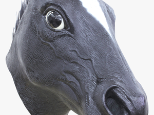 Horse Black Mask 
 Class - Caballo Negro