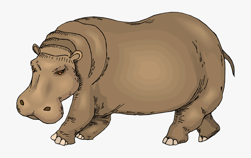 Transparent Hippopotamus Clipart - Hippo Clipart