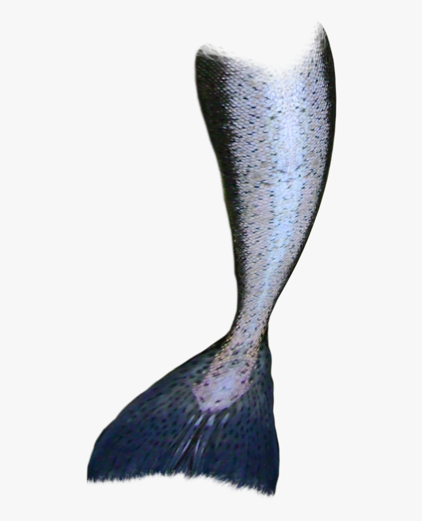 Transparent Mermaid Tail Png 