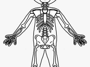 Human Body Black And White Clipart