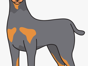 Dobermann Art Dog Transprent Graphic Library Download - Doberman Clipart