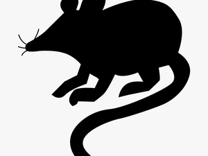 Mouse Rat Silhouette - Silueta De Un Raton