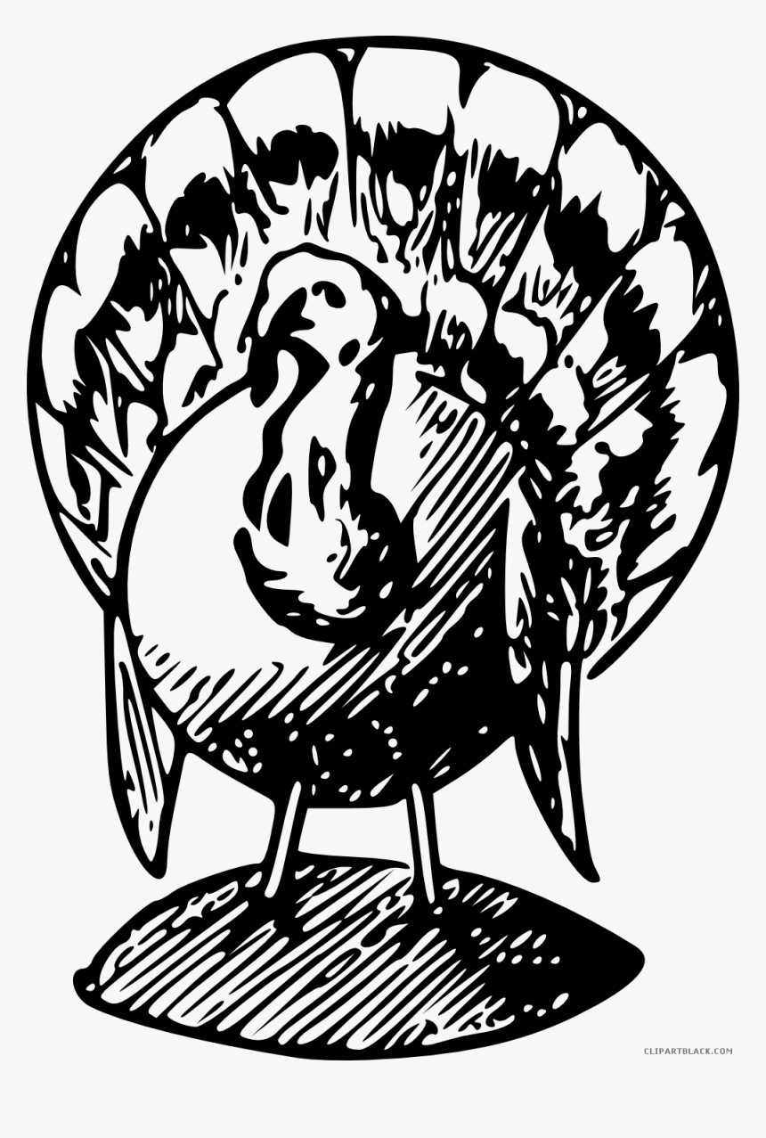 Turkey Png Black And White - Black And White Turkeys Clip Art
