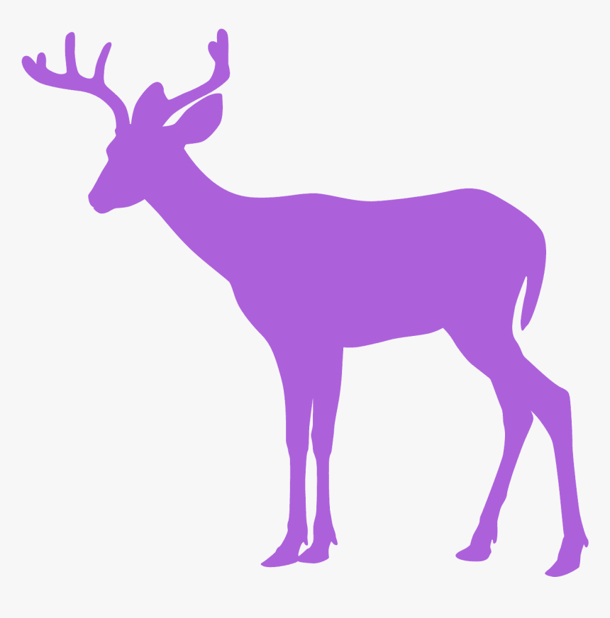 Whitetail Deer Deer Silhouette C