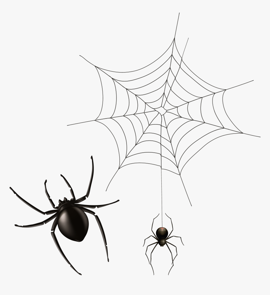 Spider And Cobweb Png Clipart Image Transparent Png - Transparent Spider Web Clipart