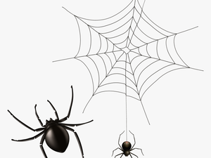 Spider And Cobweb Png Clipart Image Transparent Png - Transparent Spider Web Clipart