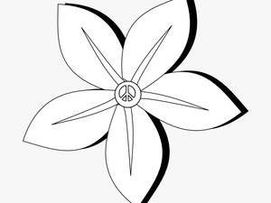Flower Vector Png White