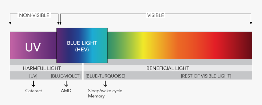 Blue Light Spectrum - Light Spec