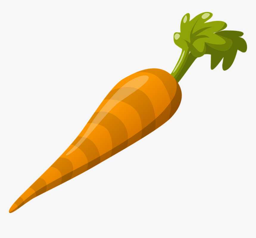 Radish Clipart Vector Carrot Cli