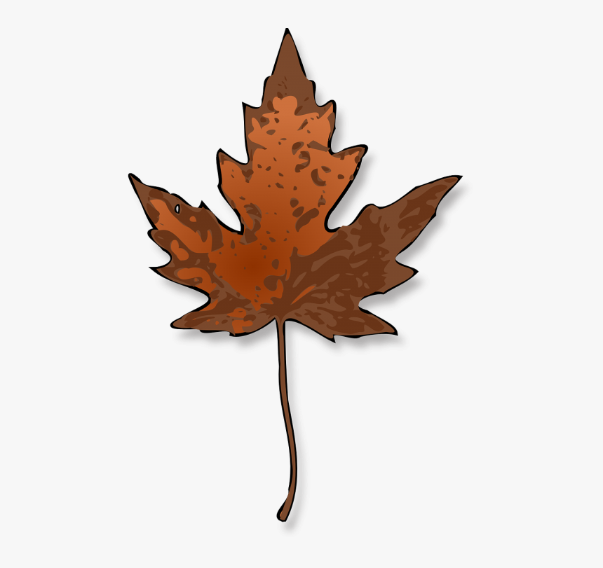 Maple Leaf Autumn - Maple Leaf Clip Art