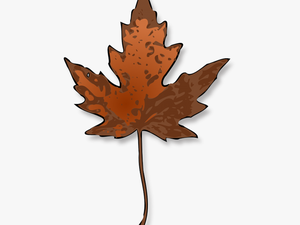 Maple Leaf Autumn - Maple Leaf Clip Art