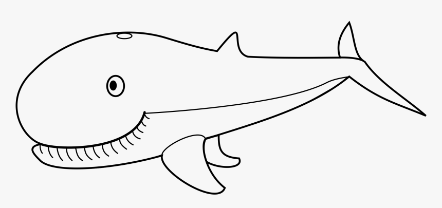Black And White Whale Png - Outline Pictures Of Whale