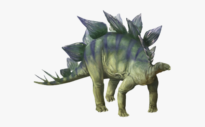 Dinosaur Png Transparent Images