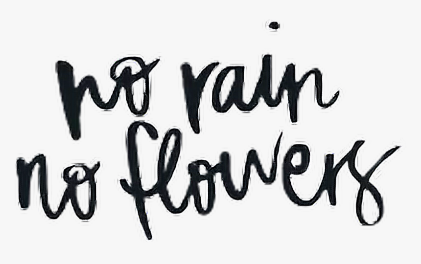 #norain #rain #flowers #quotes #