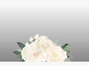 White Watercolor Flowers - Garden Roses