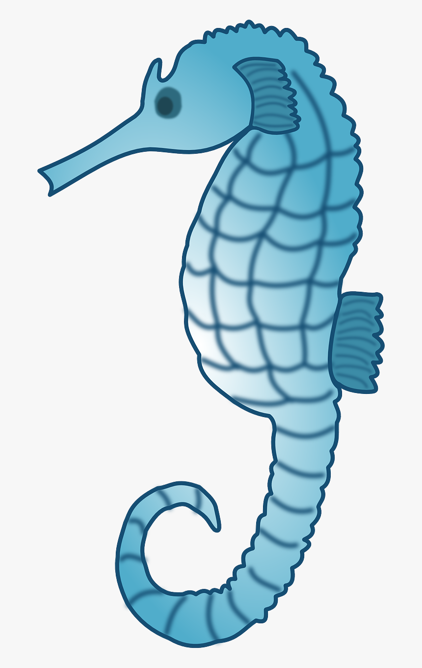 Seahorse Free To Use Cliparts - Seahorses Clip Art